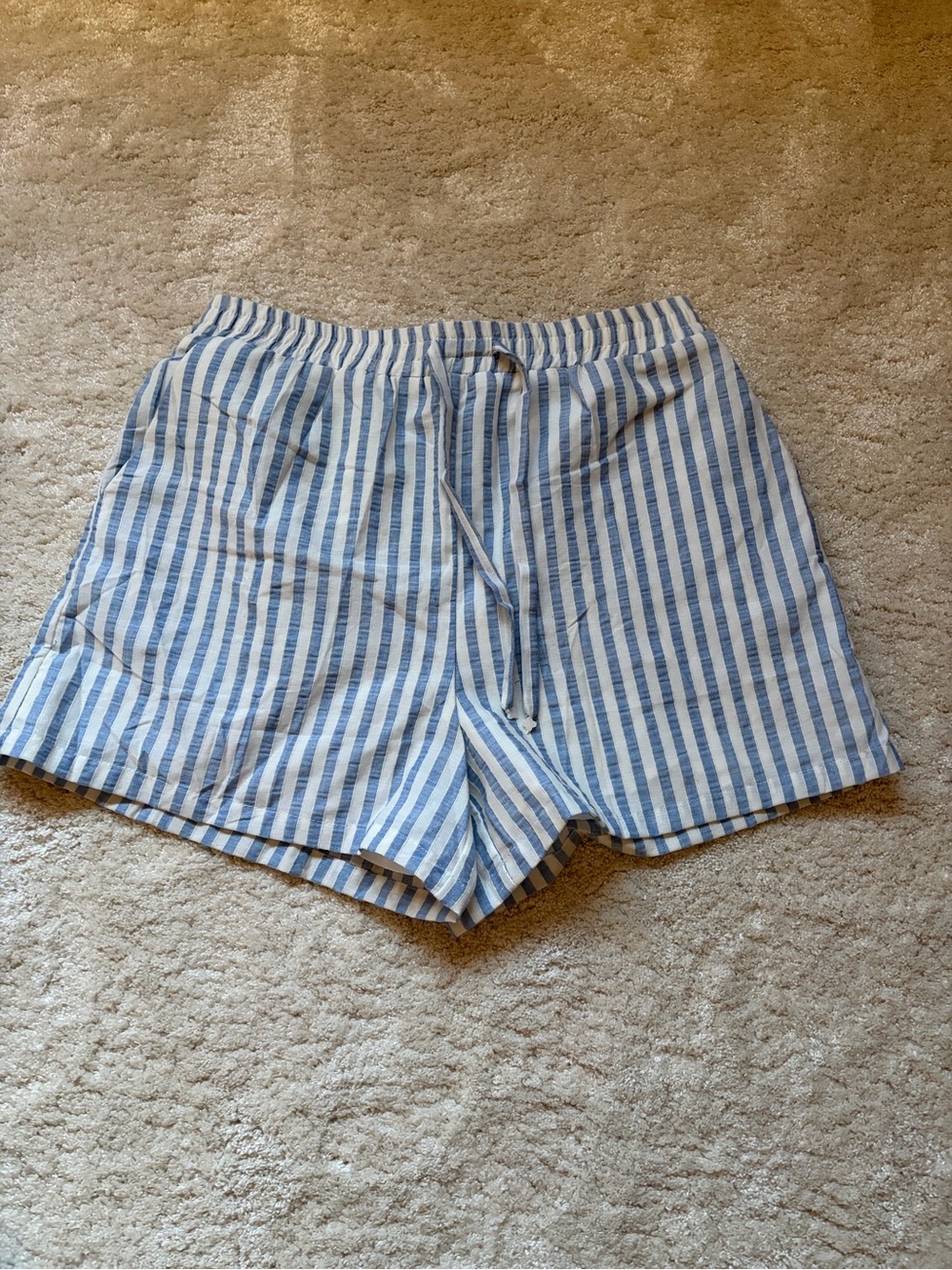 Vici Blue and White Vertical Stripe Women’s Shorts